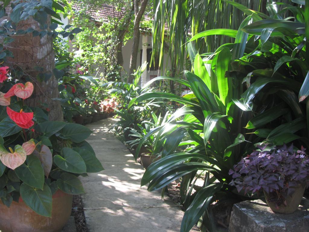 Peacock Land Hotel Tangalle Luaran gambar