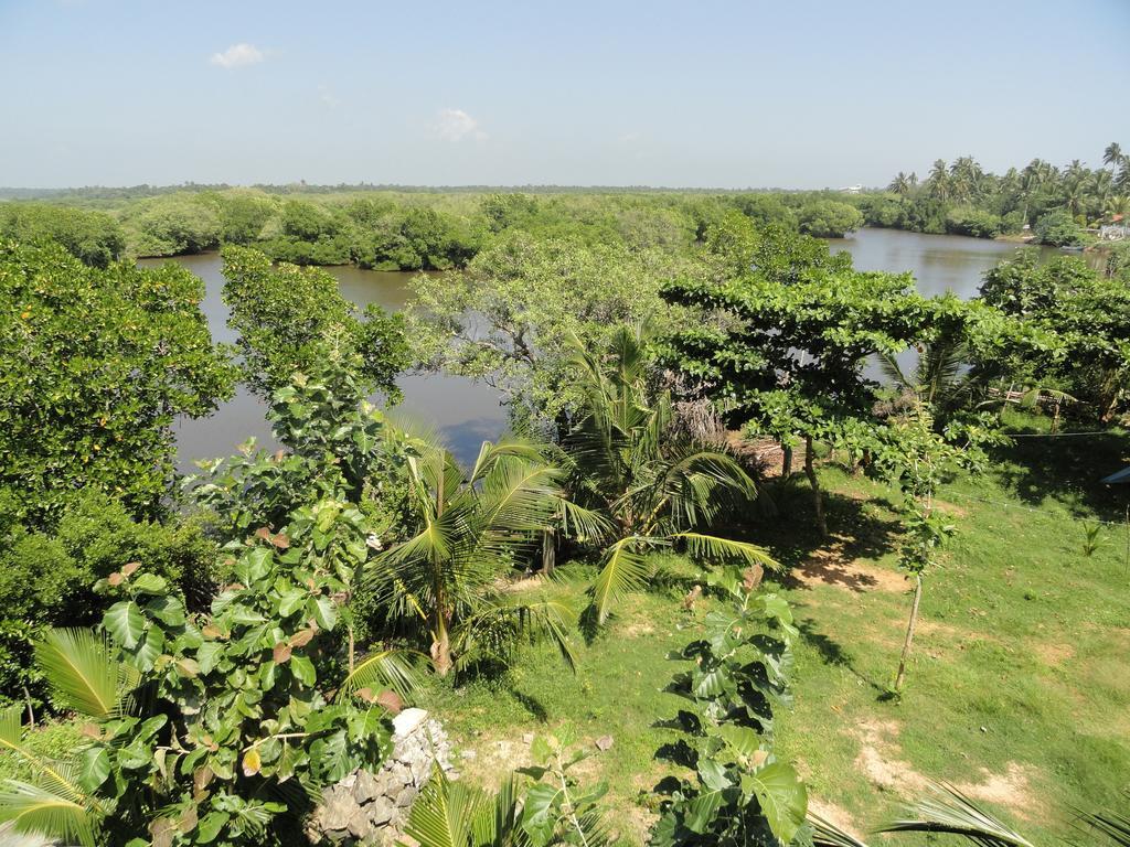 Peacock Land Hotel Tangalle Luaran gambar